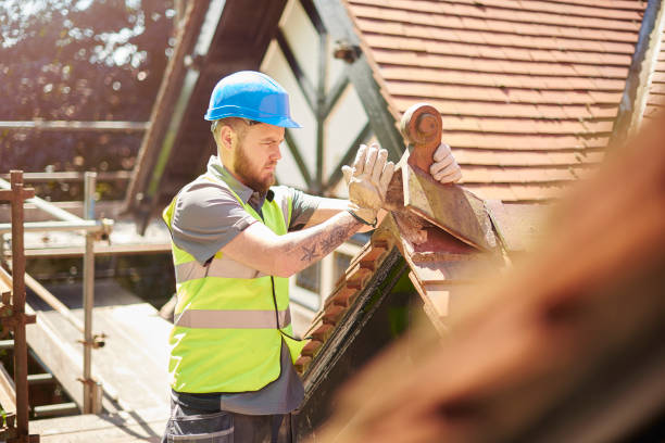 Best Storm Damage Roof Repair  in Belpre, OH